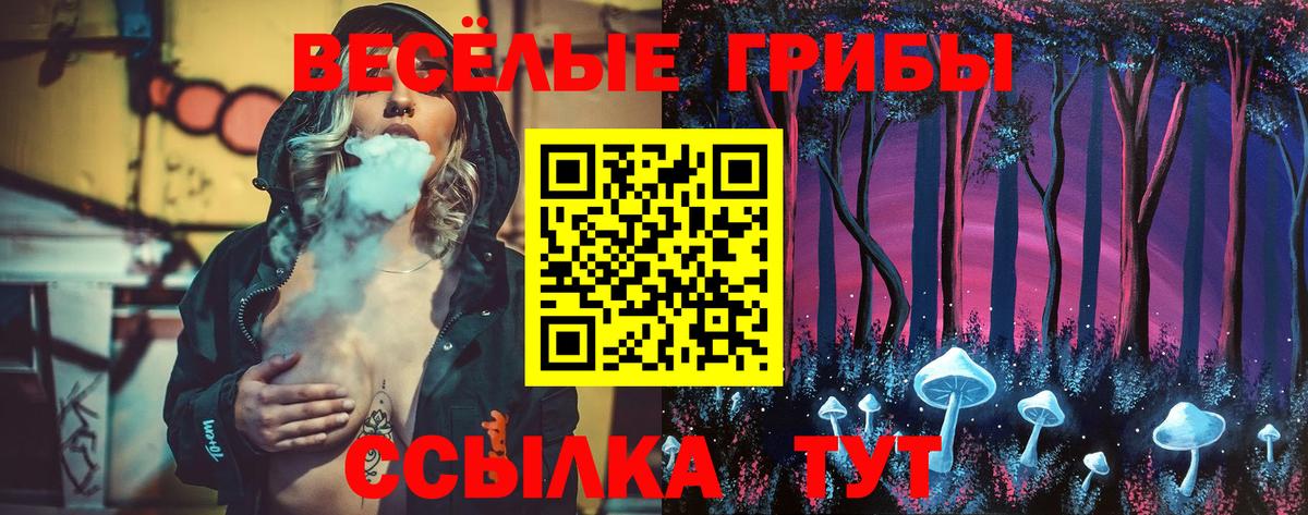 Галлюциногенные грибы Psilocybine cubensis Симферополь
