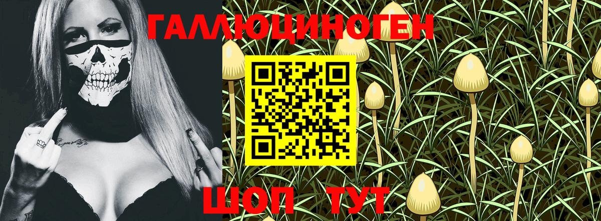 Галлюциногенные грибы Psilocybe  Псилоцибиновые грибы Psilocybine cubensis  Симферополь  Вход с VPN 